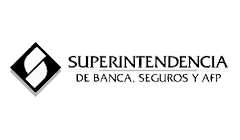 SBS: Cliente de diseño web