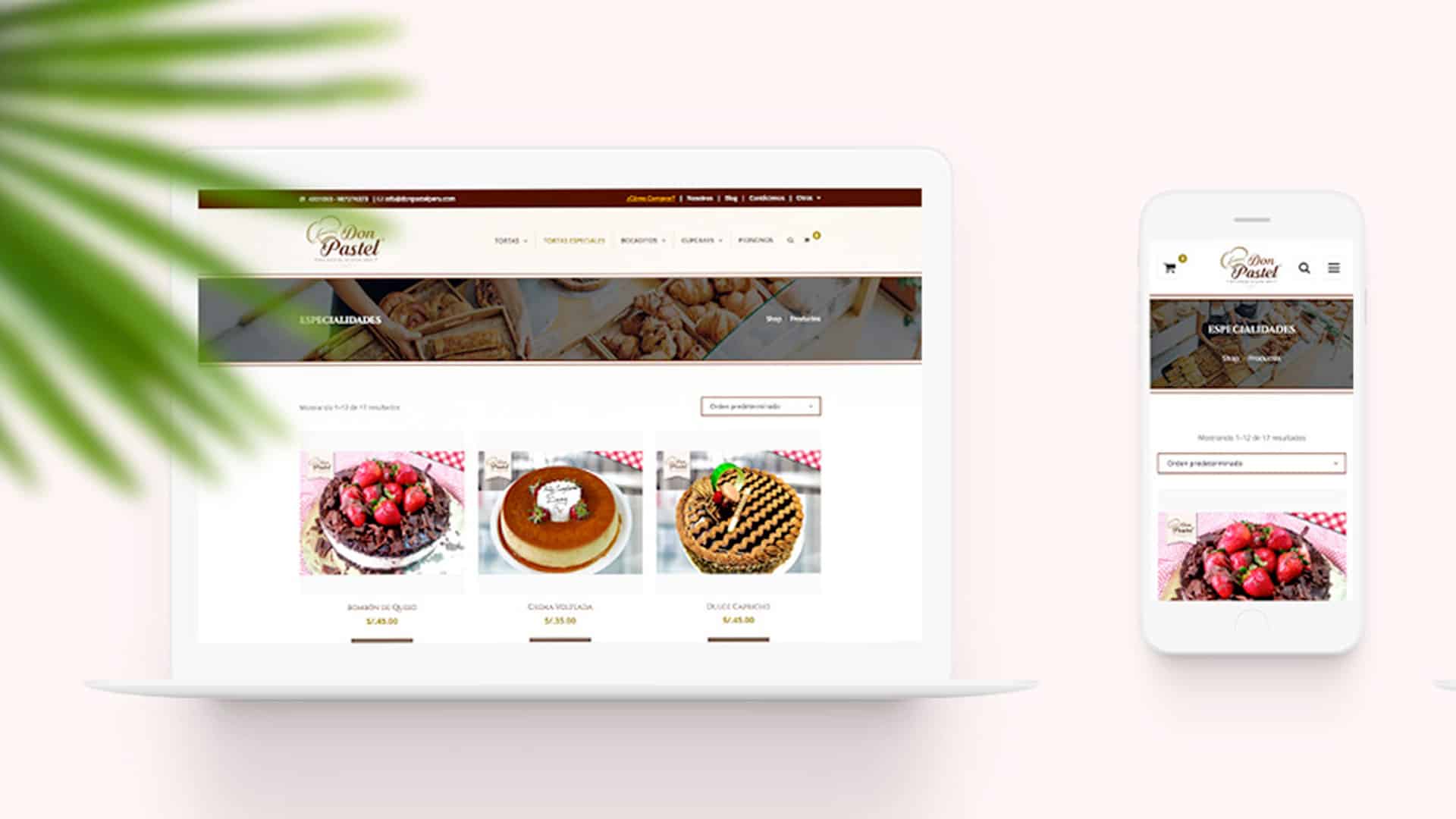 desarrollo de tienda online Don Pastel